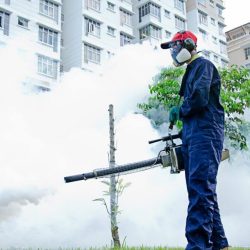 shutterstock_95312335-1-1024x740